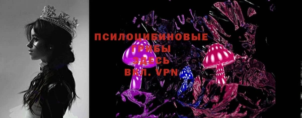 apvp Козельск