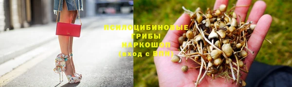 СК Кодинск