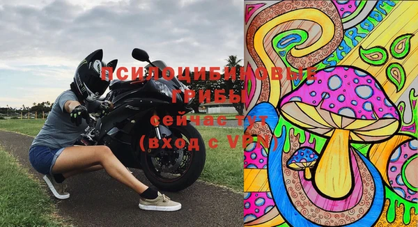 марки lsd Козловка