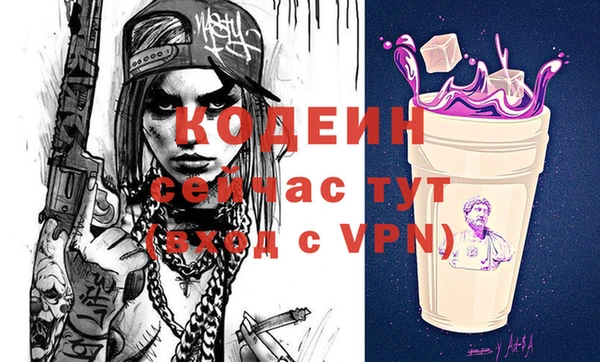 СК Кодинск