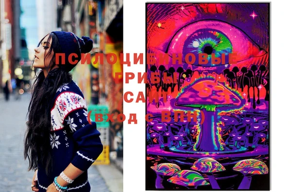 СК Кодинск